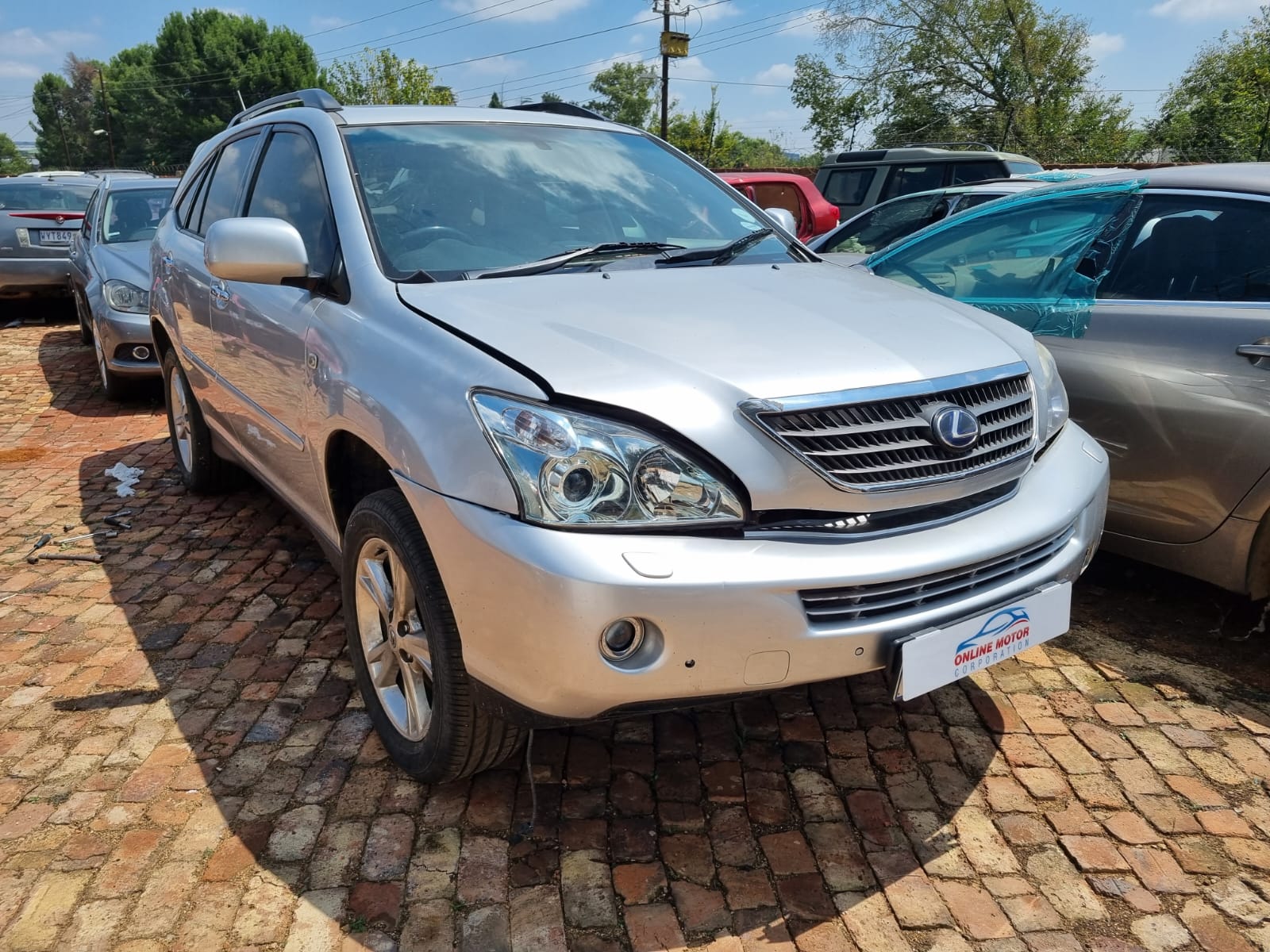 WhatsApp Image 2024-11-15 at 3.46.53 PM